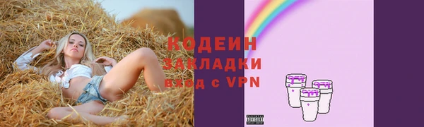 2c-b Надым