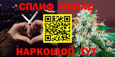 ECSTASY Гатчина