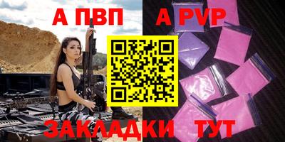 ECSTASY Гатчина