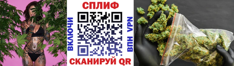 Канабис White Widow  Мыски 